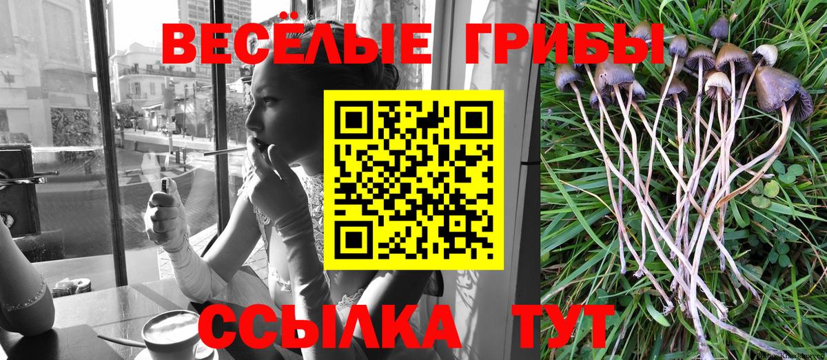 Ангарск  Галлюциногенные грибы Psilocybe  Вход с VPN 