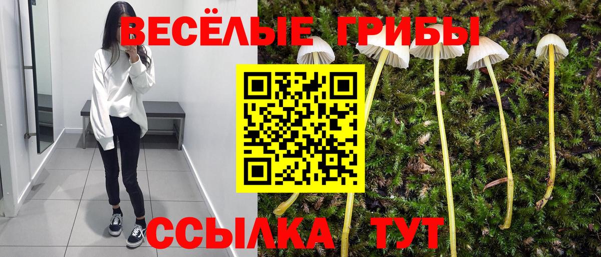 Псилоцибиновые грибы мухоморы Ангарск